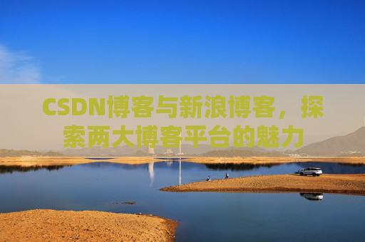 CSDN博客与新浪博客，探索两大博客平台的魅力